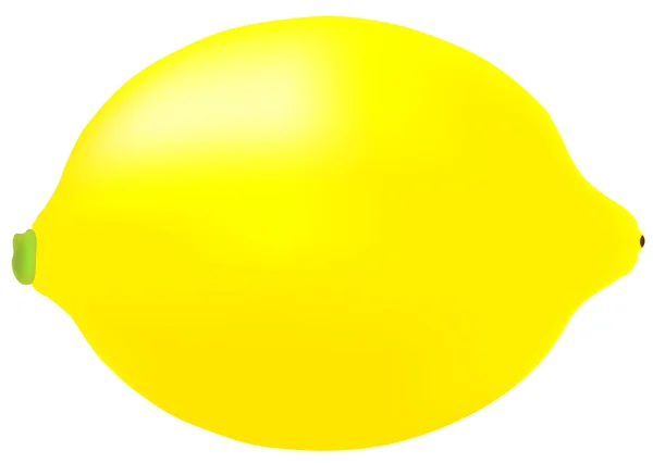 Limón amarillo — Vector de stock
